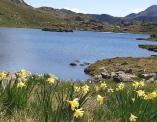 Sortida Senderisme a l'Estany Soulanet (Ordino/França)