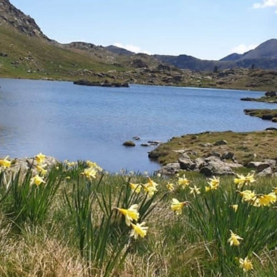 Sortida Senderisme a l'Estany Soulanet (Ordino/França)