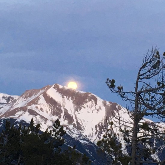 Sortida nocturna de raquetes al port i estanys de fontargent a la vall d'incles - 4 de Febrer