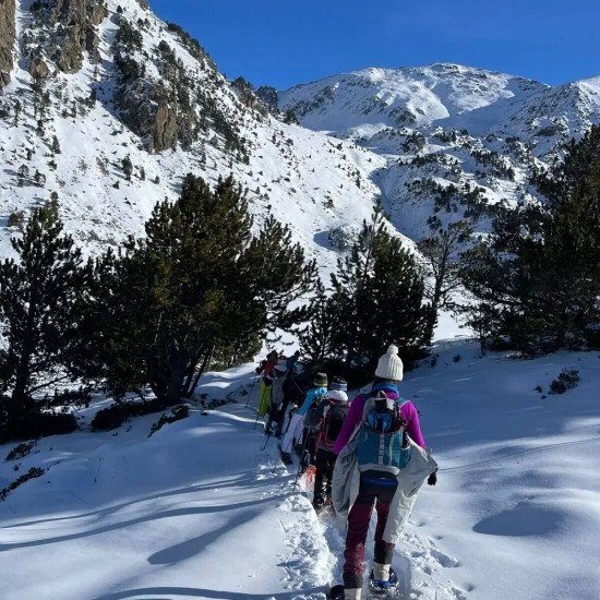 Sortida de raquetes al pic de la Mina (Porté-Puymorens)