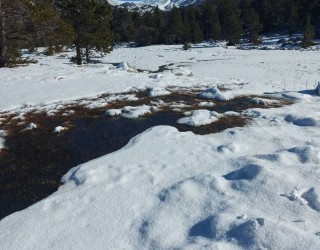 Sortida de Raquetes, Vall del Madriu fins l'Estall Serrer, dia 12 de Març