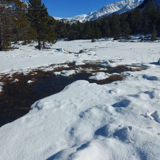 Sortida de Raquetes, Vall del Madriu fins l'Estall Serrer, dia 12 de Març