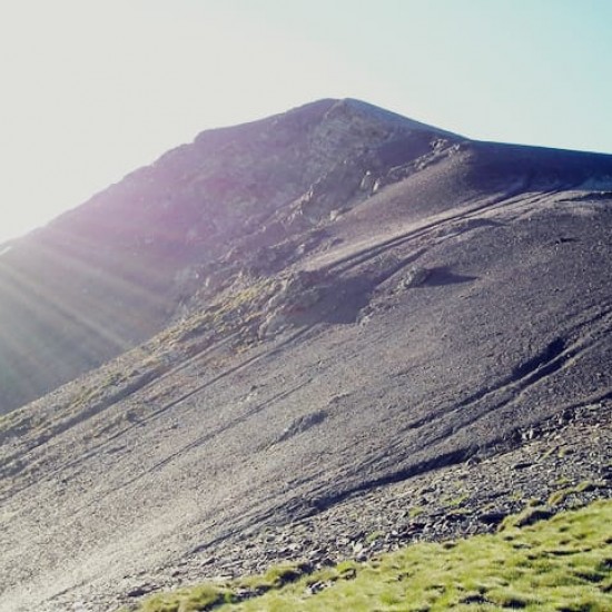 Pic negre de claror fent circular per la vall de caborreu 