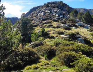 Excursionisme Circular a la Coma de Llops